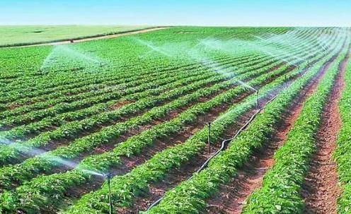 机吧操逼视频农田高 效节水灌溉